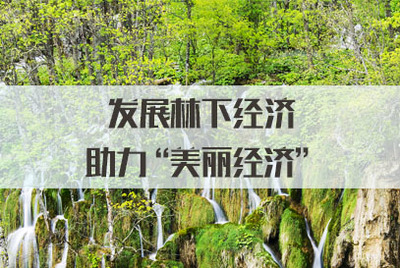 发展林下经济，拓展销售渠道，让‘美丽经济’更富生机