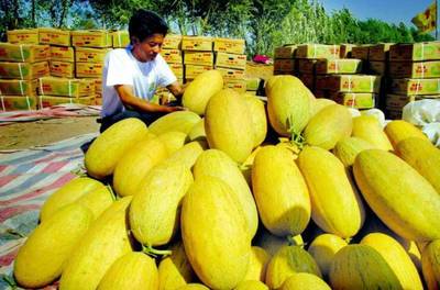 援疆风采 步步高援疆行，架起湘吐共富桥