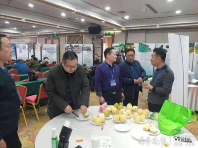 阳信鸭梨荣获“全国绿色农业十佳地标品牌”称号，绿色农业品牌价值再提升