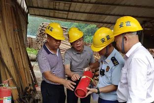 守牢安全底线 护航林业发展——凤山大队联合应急管理局、林业局开展木材加工厂消防安全检查