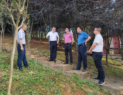 省林业局副局长傅强一行赴施秉县指导国储林及林下经济建设与林业产品销售工作