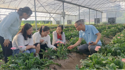 泉州洛江区科特派行动周报 林业产品销售专题