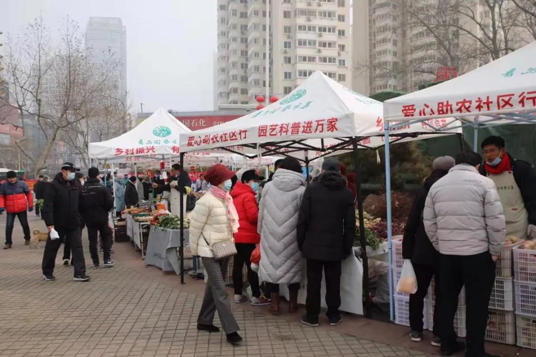 青岛园艺市集盛大开集，60余种物美价廉林业产品任您选购